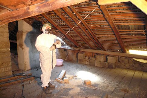 Traitement de termites et capricornes par un professionnel à Damville 27240